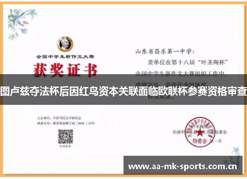 图卢兹夺法杯后因红鸟资本关联面临欧联杯参赛资格审查 图卢兹夺法杯后因红鸟资本关联面临欧联杯参赛资格审查